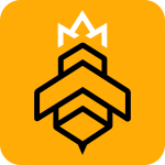 kingbee express app